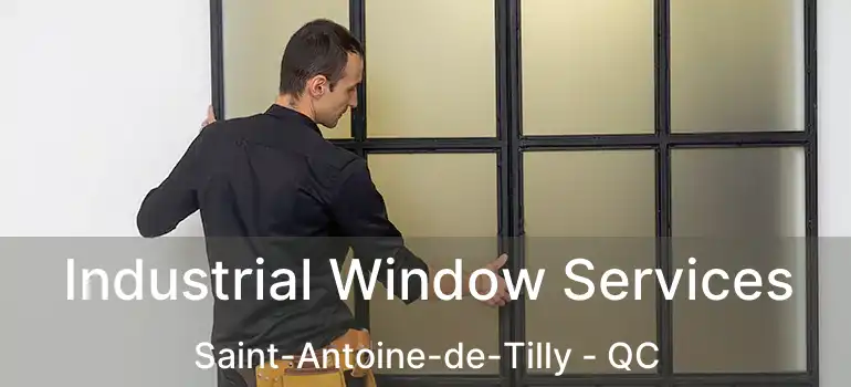  Industrial Window Services Saint-Antoine-de-Tilly - QC