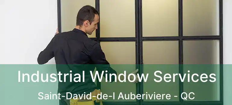  Industrial Window Services Saint-David-de-l Auberiviere - QC