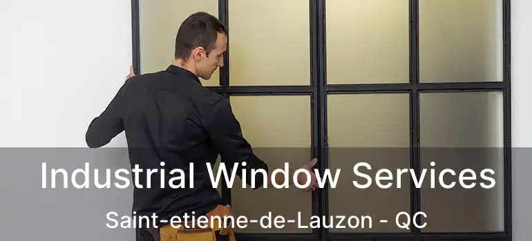  Industrial Window Services Saint-etienne-de-Lauzon - QC