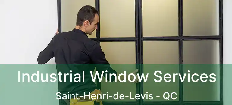 Industrial Window Services Saint-Henri-de-Levis - QC