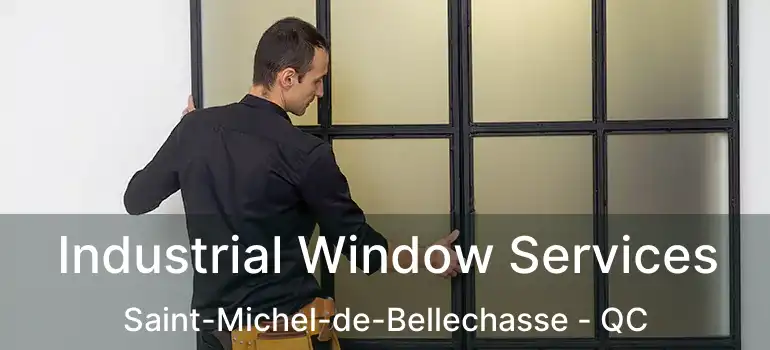  Industrial Window Services Saint-Michel-de-Bellechasse - QC
