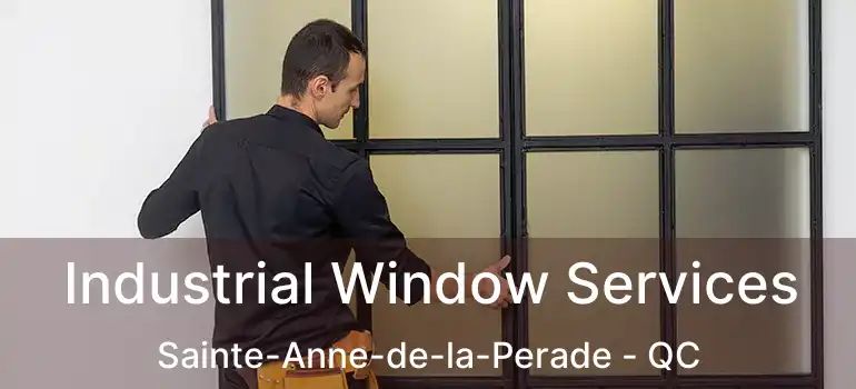  Industrial Window Services Sainte-Anne-de-la-Perade - QC