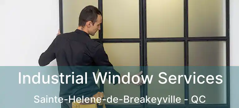  Industrial Window Services Sainte-Helene-de-Breakeyville - QC