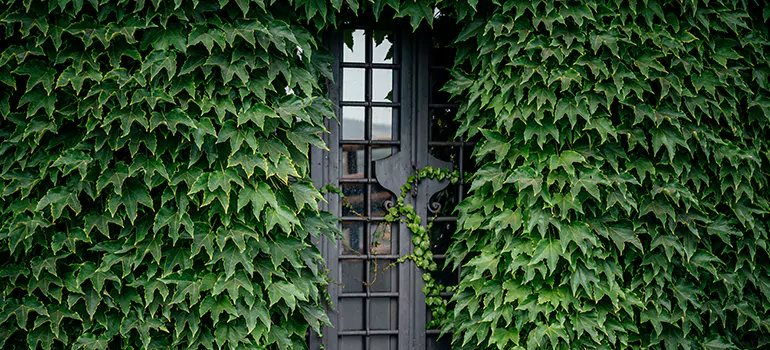 Garden Gate Repair in Levis, QC