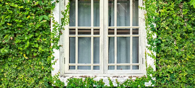 Garden Window Repair Near Me in Levis, QC