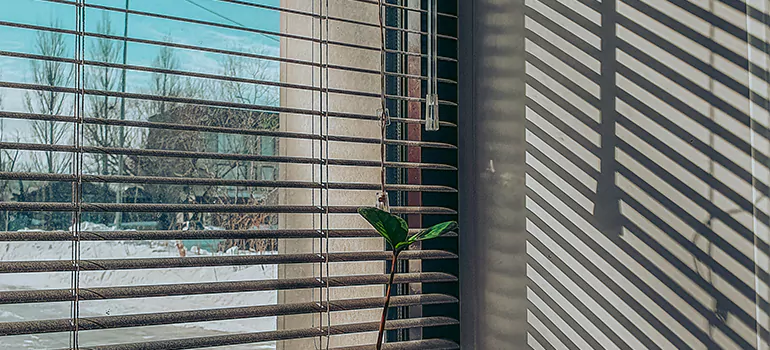 Commercial Window Blinds in Levis, QC