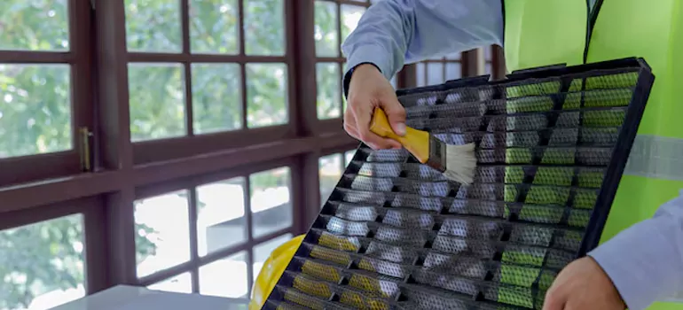Traditional Window Grille Installation Options in Levis, QC