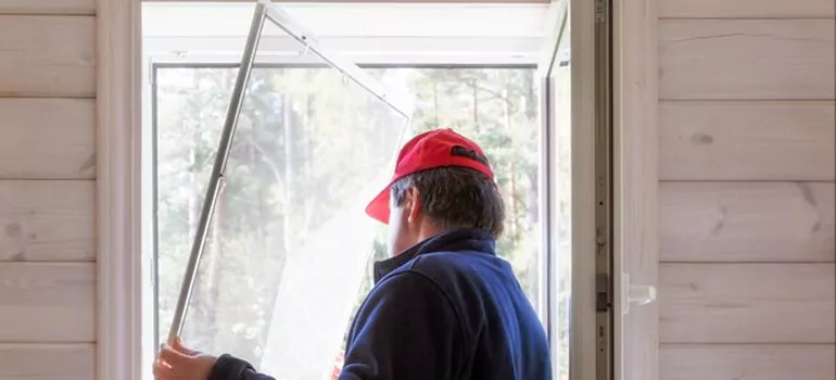 Expandable Window Screen Installation in Levis, Quebec