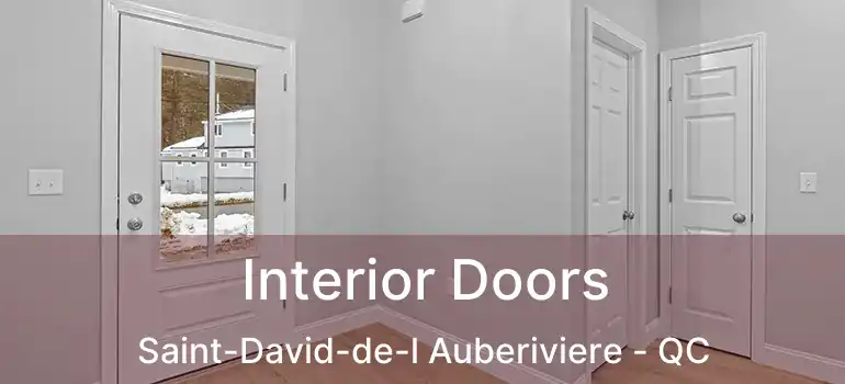  Interior Doors Saint-David-de-l Auberiviere - QC