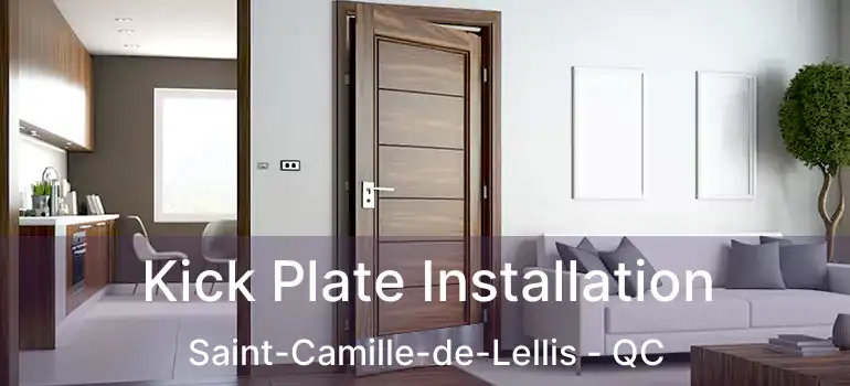  Kick Plate Installation Saint-Camille-de-Lellis - QC