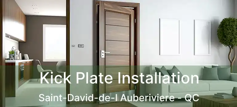  Kick Plate Installation Saint-David-de-l Auberiviere - QC