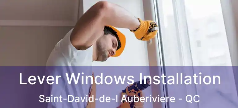  Lever Windows Installation Saint-David-de-l Auberiviere - QC