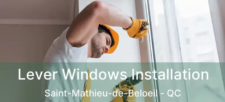  Lever Windows Installation Saint-Mathieu-de-Beloeil - QC