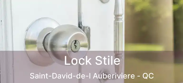  Lock Stile Saint-David-de-l Auberiviere - QC