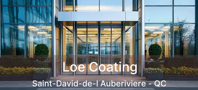 Loe Coating Saint-David-de-l Auberiviere - QC