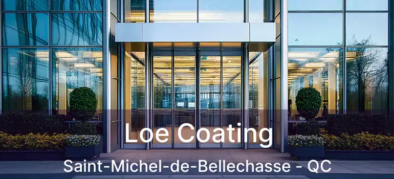  Loe Coating Saint-Michel-de-Bellechasse - QC