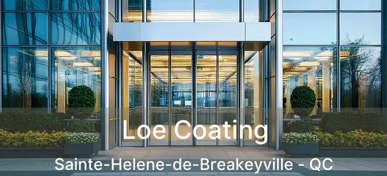  Loe Coating Sainte-Helene-de-Breakeyville - QC
