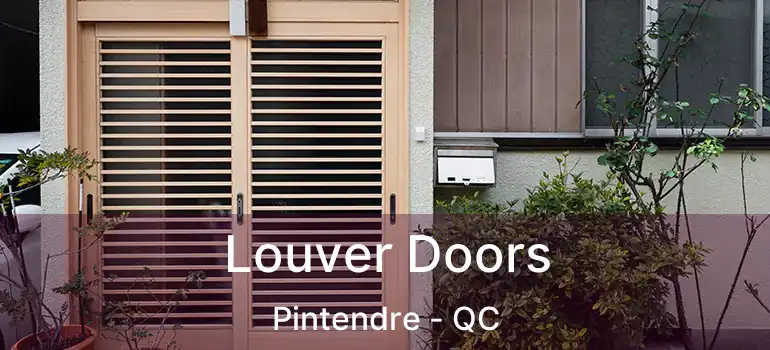 Louver Doors Pintendre - QC