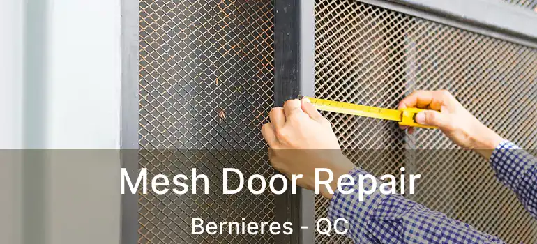  Mesh Door Repair Bernieres - QC
