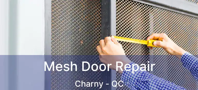  Mesh Door Repair Charny - QC