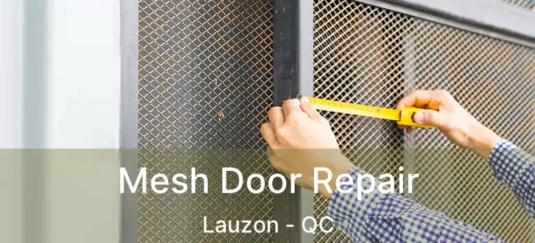  Mesh Door Repair Lauzon - QC