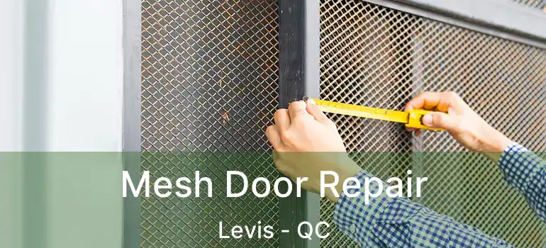  Mesh Door Repair Levis - QC