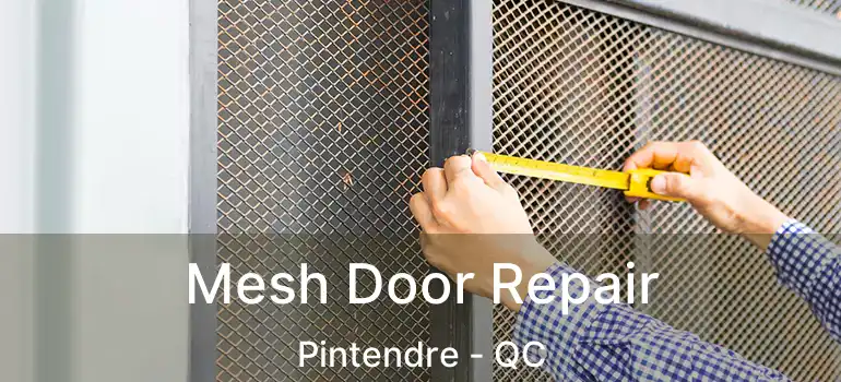  Mesh Door Repair Pintendre - QC