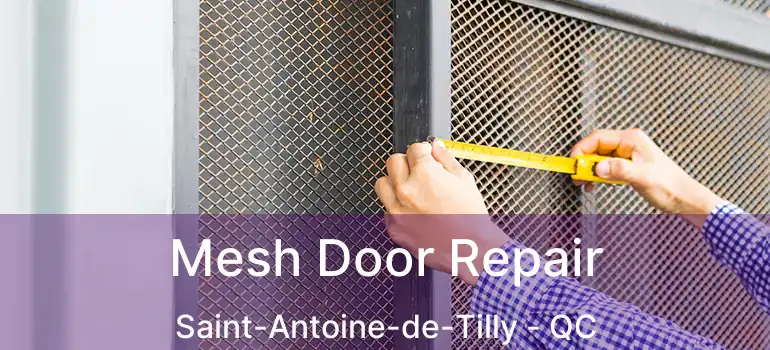  Mesh Door Repair Saint-Antoine-de-Tilly - QC