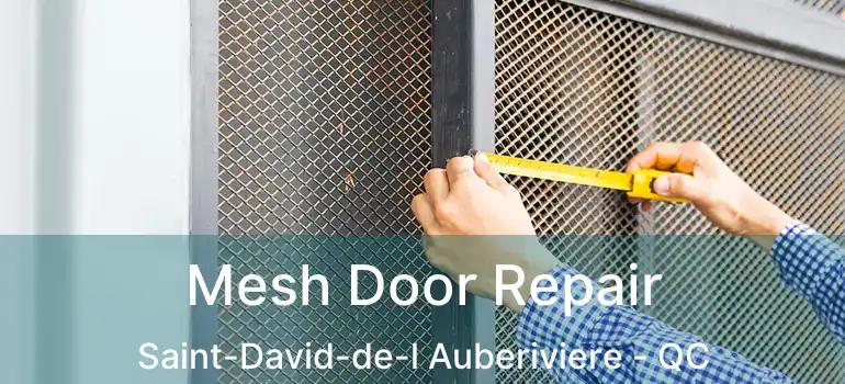  Mesh Door Repair Saint-David-de-l Auberiviere - QC