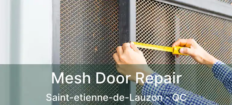  Mesh Door Repair Saint-etienne-de-Lauzon - QC