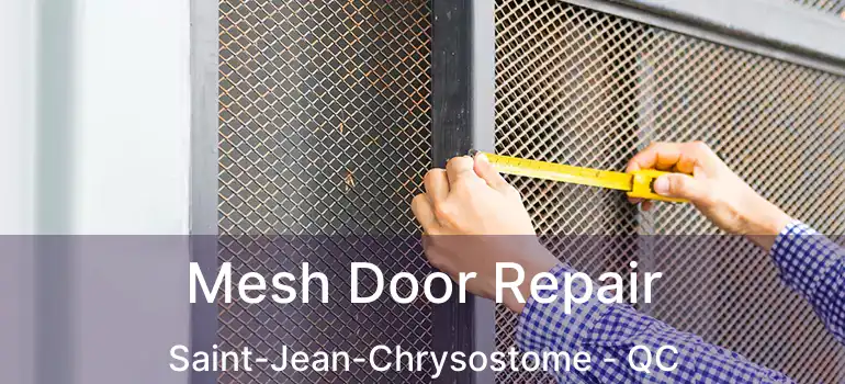  Mesh Door Repair Saint-Jean-Chrysostome - QC