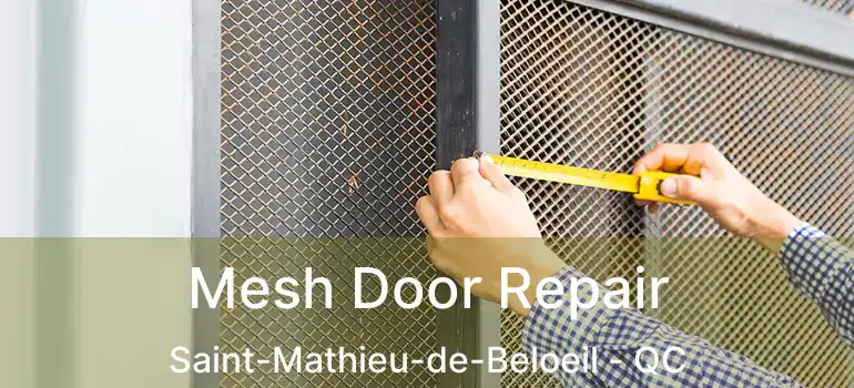  Mesh Door Repair Saint-Mathieu-de-Beloeil - QC