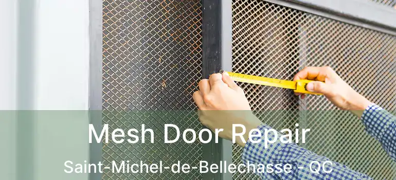  Mesh Door Repair Saint-Michel-de-Bellechasse - QC