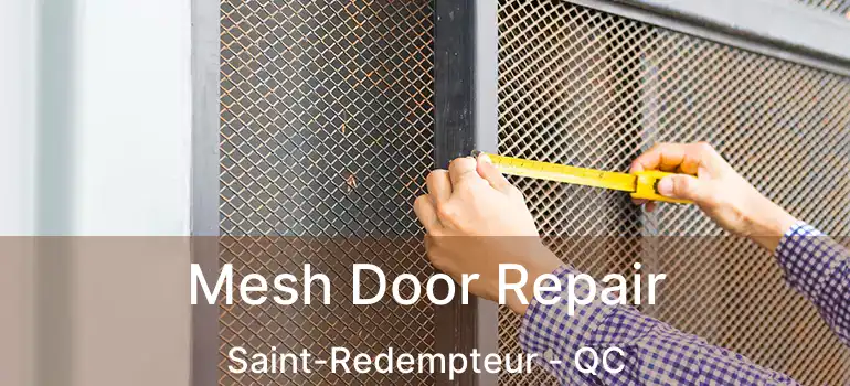  Mesh Door Repair Saint-Redempteur - QC