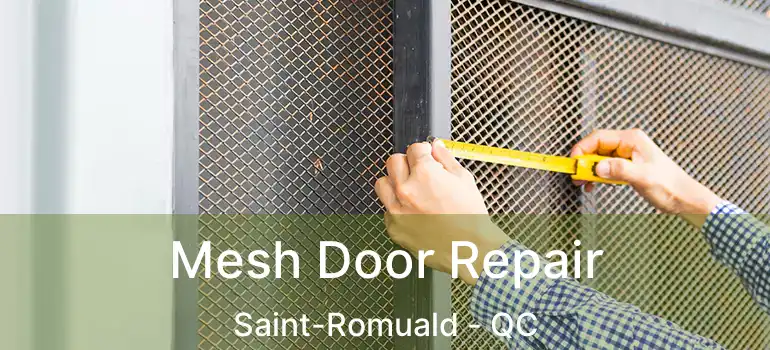  Mesh Door Repair Saint-Romuald - QC