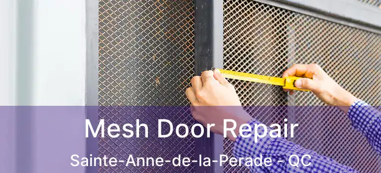  Mesh Door Repair Sainte-Anne-de-la-Perade - QC