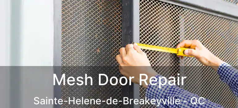  Mesh Door Repair Sainte-Helene-de-Breakeyville - QC