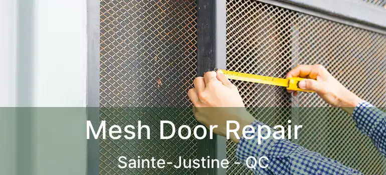  Mesh Door Repair Sainte-Justine - QC