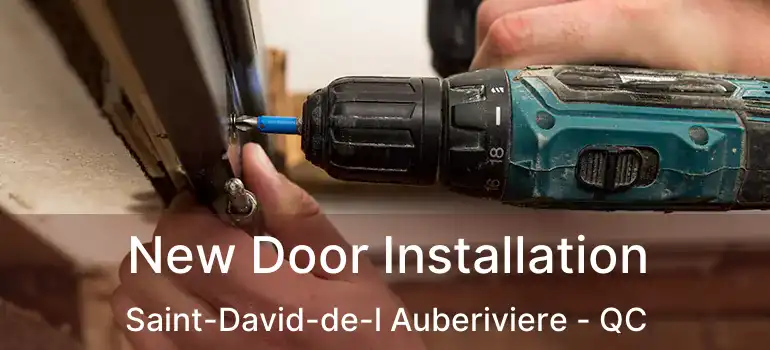  New Door Installation Saint-David-de-l Auberiviere - QC
