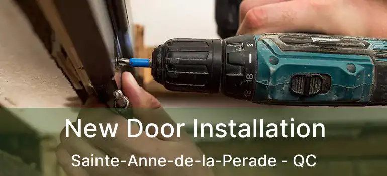  New Door Installation Sainte-Anne-de-la-Perade - QC