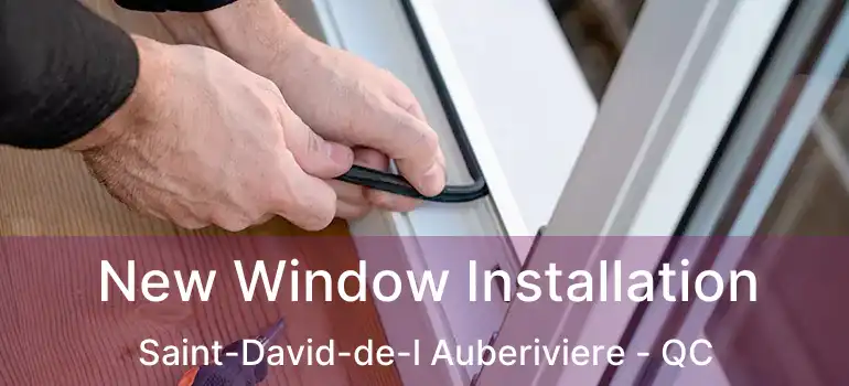  New Window Installation Saint-David-de-l Auberiviere - QC
