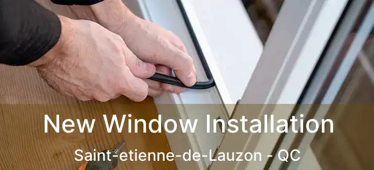  New Window Installation Saint-etienne-de-Lauzon - QC
