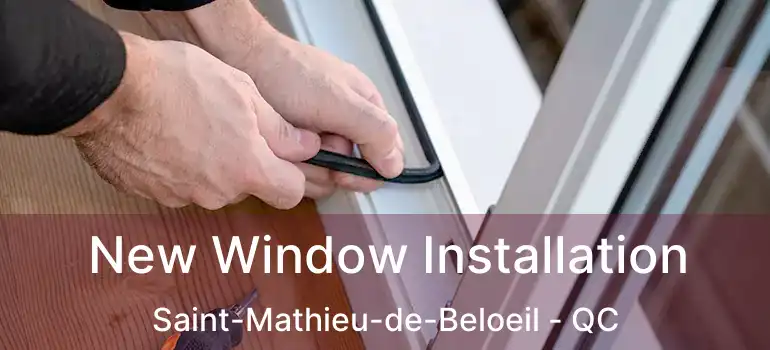  New Window Installation Saint-Mathieu-de-Beloeil - QC