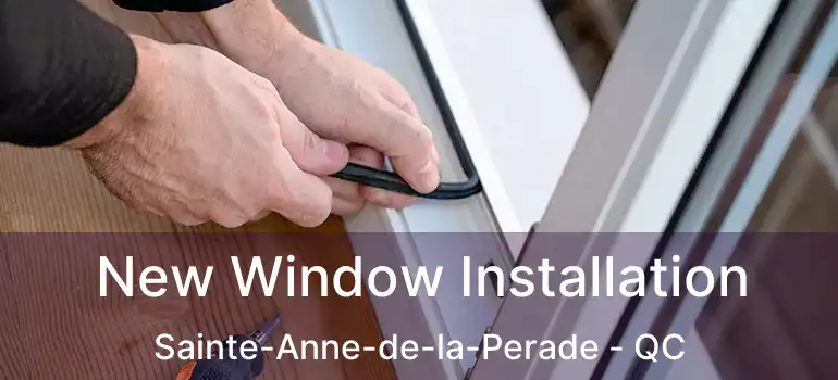  New Window Installation Sainte-Anne-de-la-Perade - QC