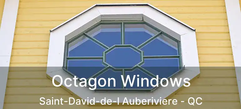  Octagon Windows Saint-David-de-l Auberiviere - QC