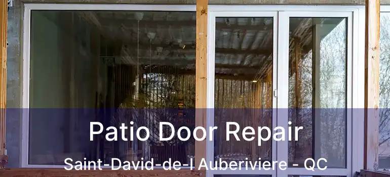  Patio Door Repair Saint-David-de-l Auberiviere - QC