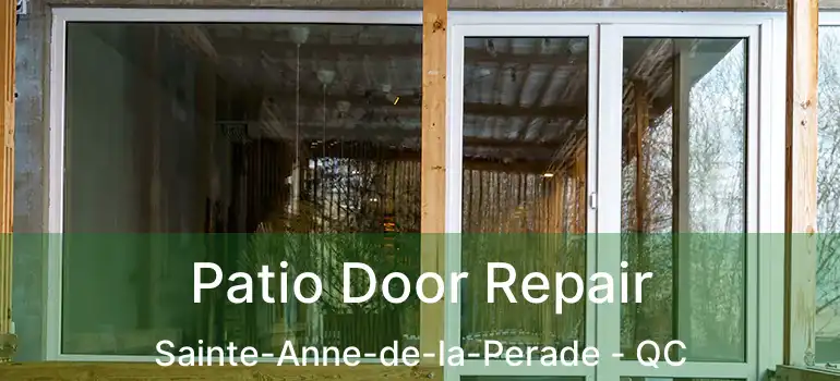  Patio Door Repair Sainte-Anne-de-la-Perade - QC