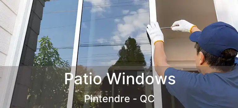  Patio Windows Pintendre - QC