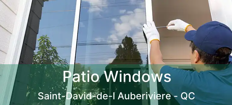  Patio Windows Saint-David-de-l Auberiviere - QC