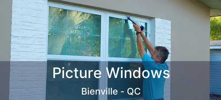  Picture Windows Bienville - QC